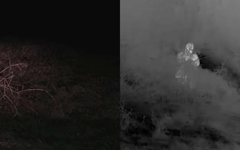 NightRide Thermal to Showcase Vehicle-Mounted Thermal Imaging Solutions at IACP 2026